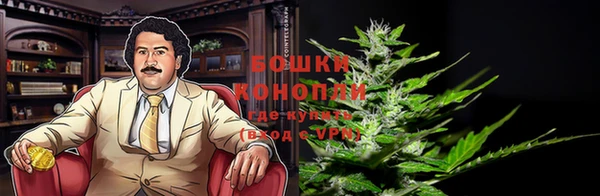 ГАЛЛЮЦИНОГЕННЫЕ ГРИБЫ Надым